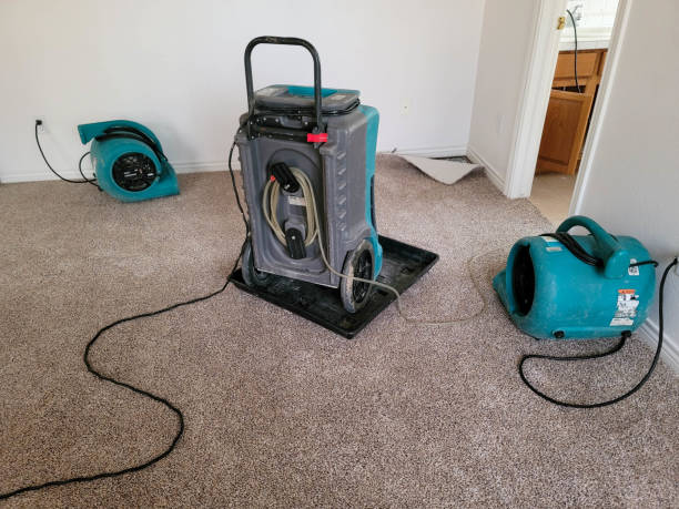 Best Water damage contractors near me  in University Park, MD