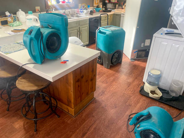  University Park, MD Water damage restoration Pros