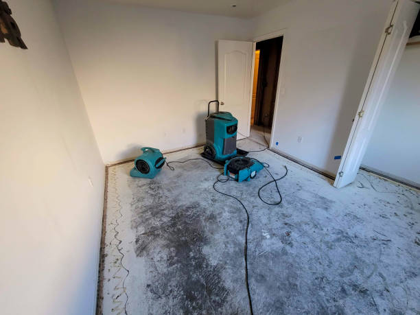 Local water damage restoration in University Park, MD