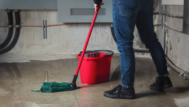 Best Mold removal after water damage  in University Park, MD