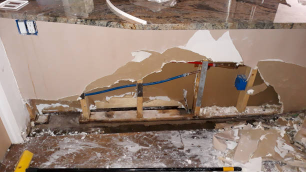 Best Professional water damage repair  in University Park, MD