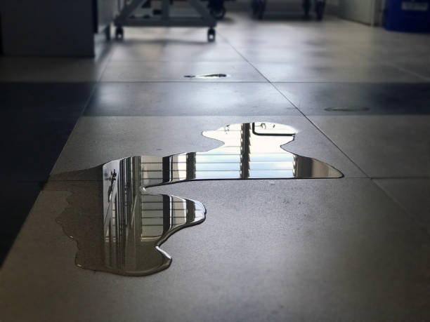 Best Water damage cleanup near me  in University Park, MD