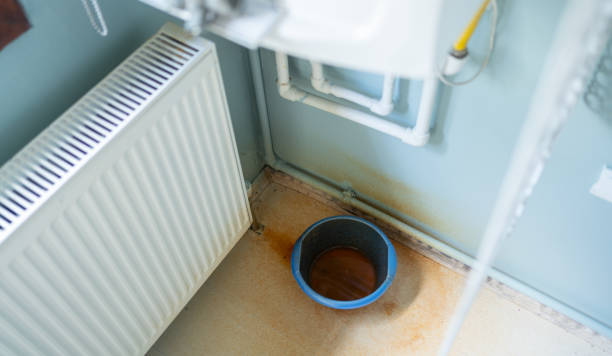 Best Ceiling water damage repair  in University Park, MD