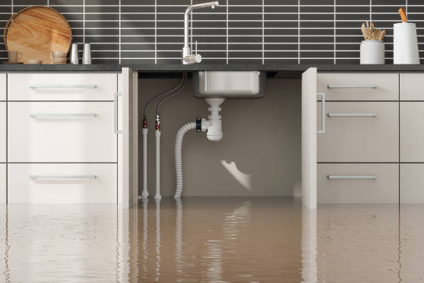 Best Residential water damage restoration  in University Park, MD