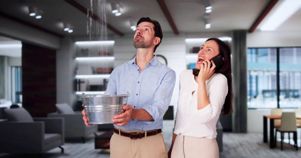 Best Water damage restoration near me  in University Park, MD
