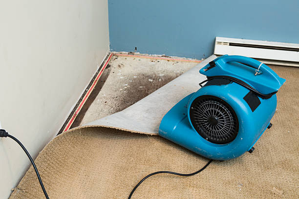 Best 24-hour water damage restoration  in University Park, MD